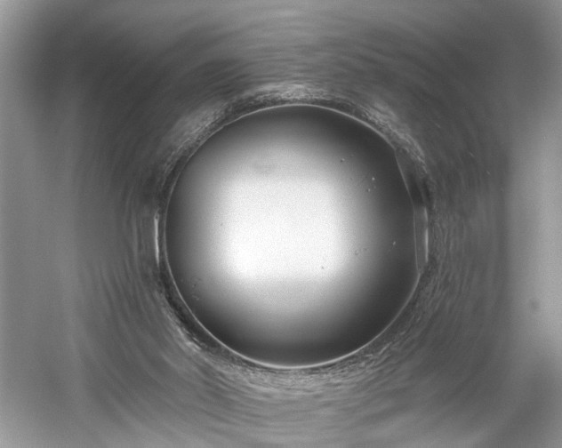 X0000059840014200510241449