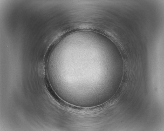 X0000059840016200510241449