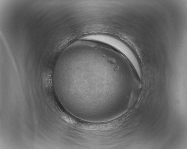 X0000059840017200510241449