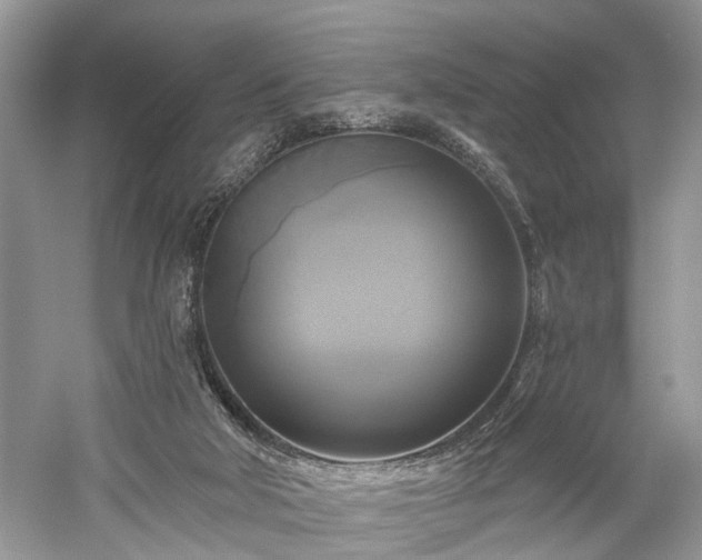 X0000059840018200510241449