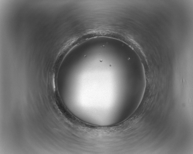 X0000059840020200510241449