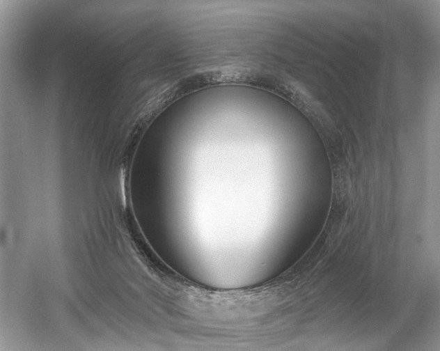 X0000059840022200510241449