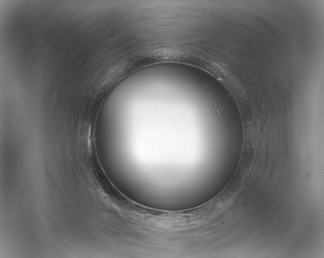 X0000059840024200510241449