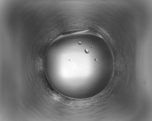 X0000059840025200510241449