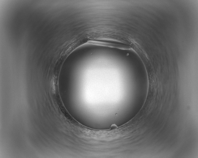 X0000059840026200510241449