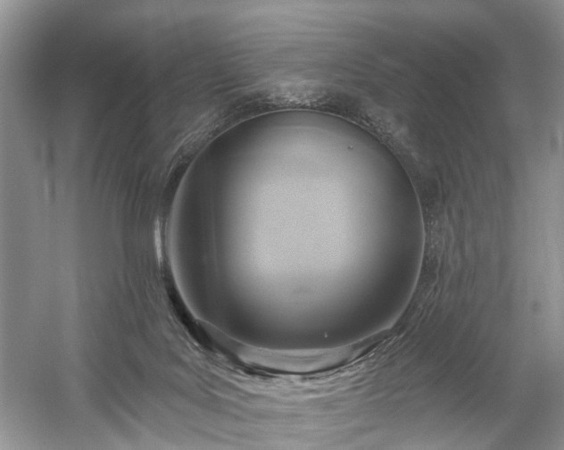 X0000059840027200510241449