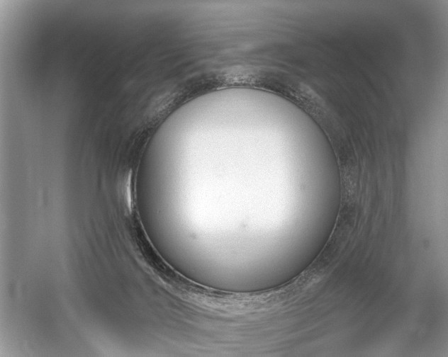 X0000059840028200510241449