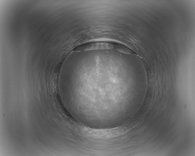 X0000059840030200510241449