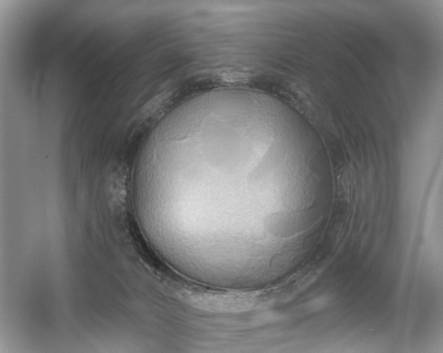 X0000059840032200510241449