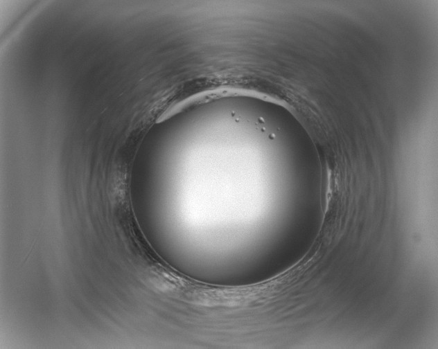 X0000059840033200510241449