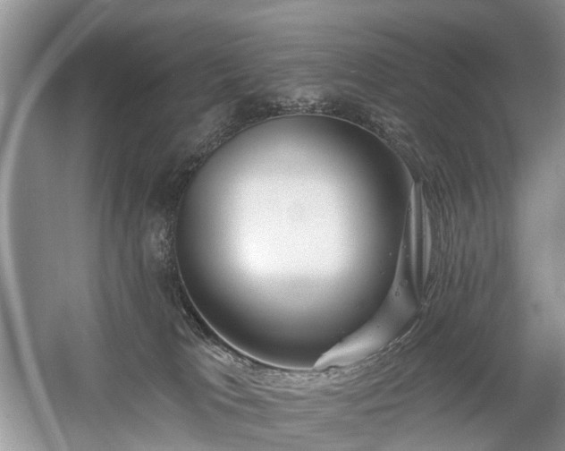 X0000059840037200510241449