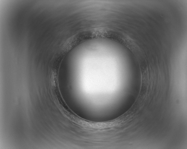 X0000059840038200510241449