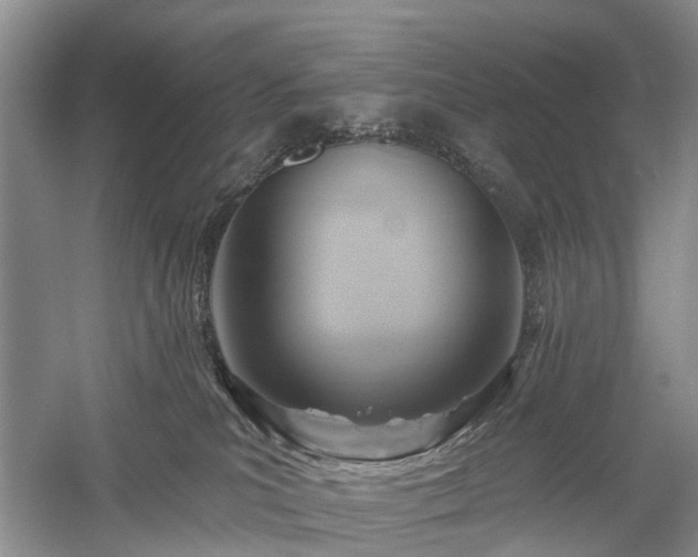 X0000059840039200510241449