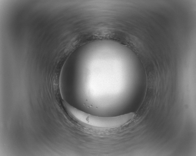 X0000059840040200510241449