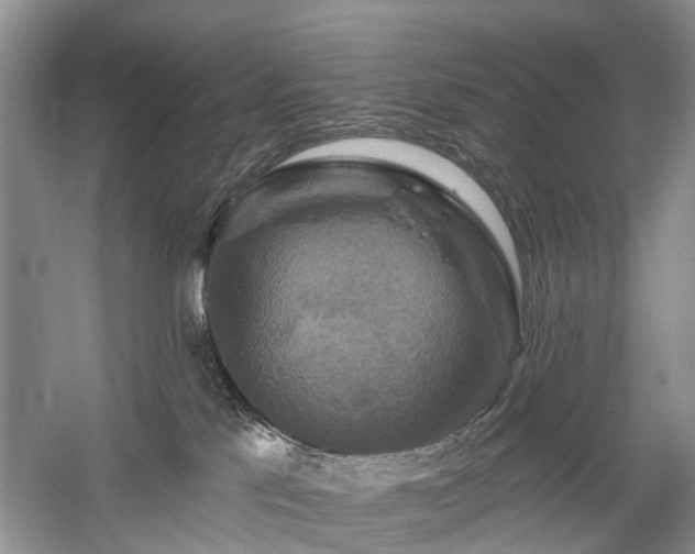 X0000059840041200510241449