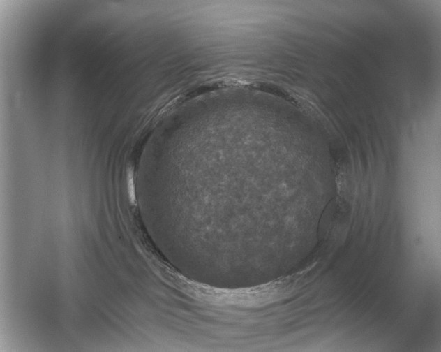 X0000059840046200510241449