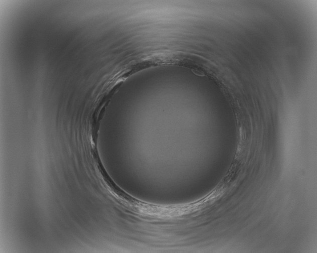 X0000059840048200510241449