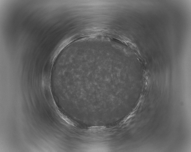 X0000059840051200510241448