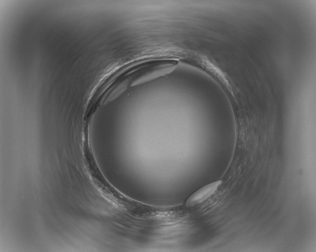 X0000059840059200510241448