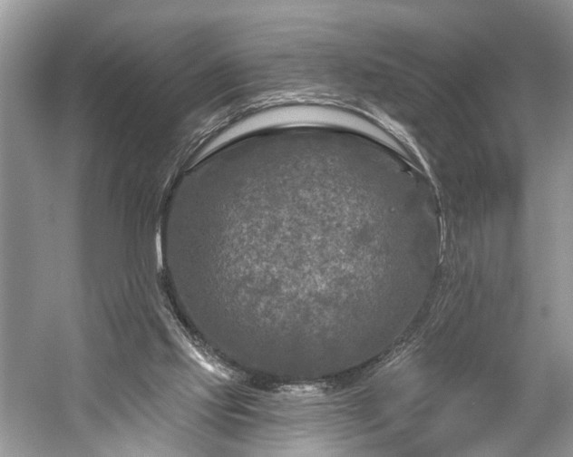 X0000059840061200510241448