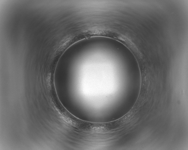 X0000059840066200510241448