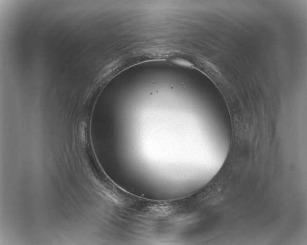 X0000059840071200510241448