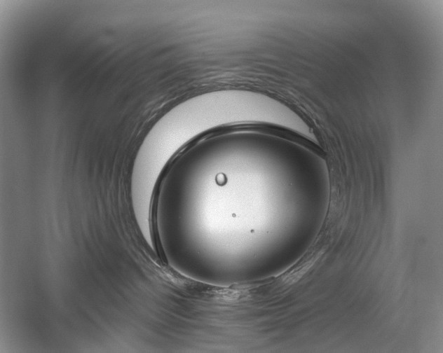 X0000059840096200510241449