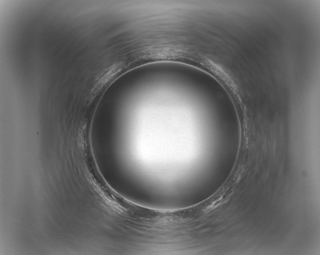 X0000059840105200510241448