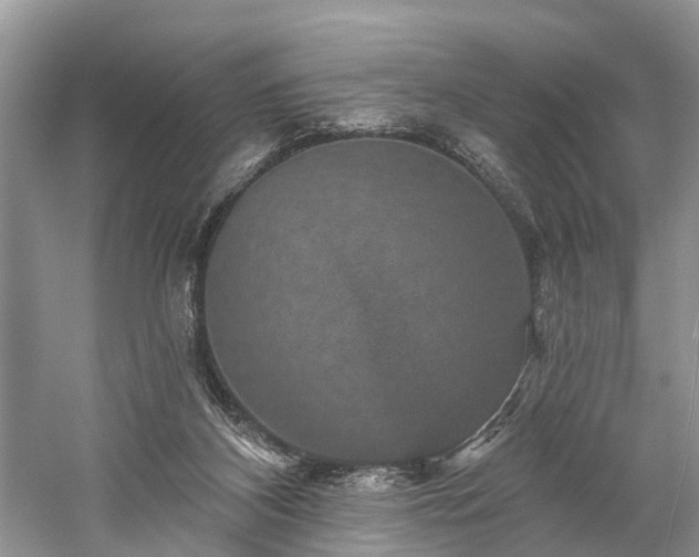 X0000059840116200510241448