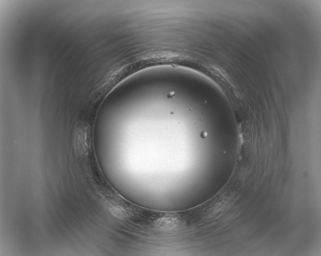 X0000059840119200510241448