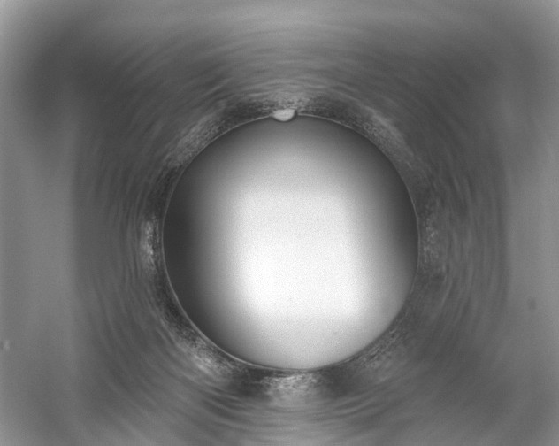 X0000059840122200510241447