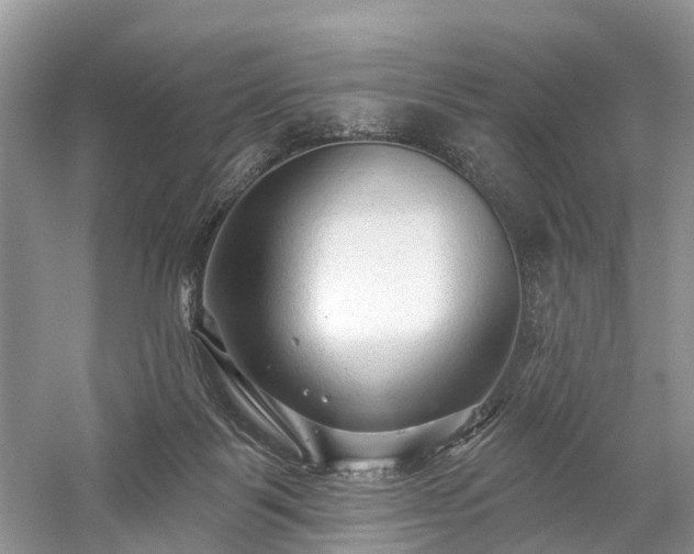 X0000059840123200510241447