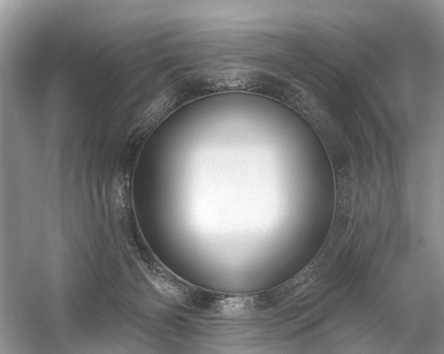 X0000059840126200510241447