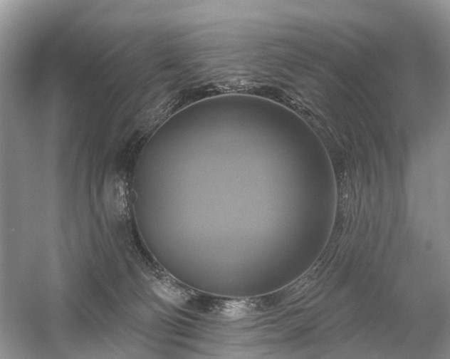 X0000059840130200510241447
