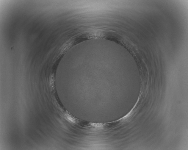 X0000059840144200510241447