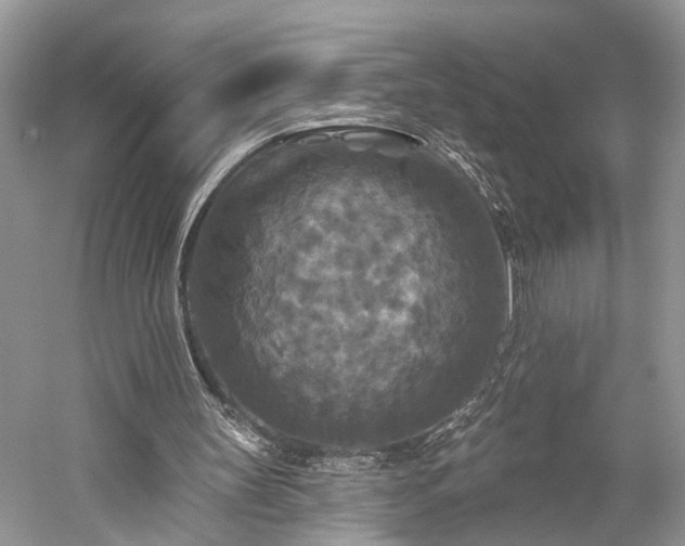 X0000059840147200510241446