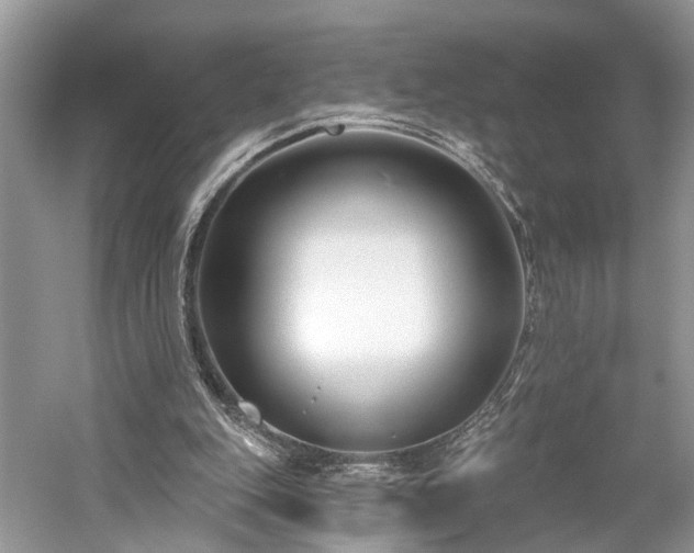 X0000059840151200510241446