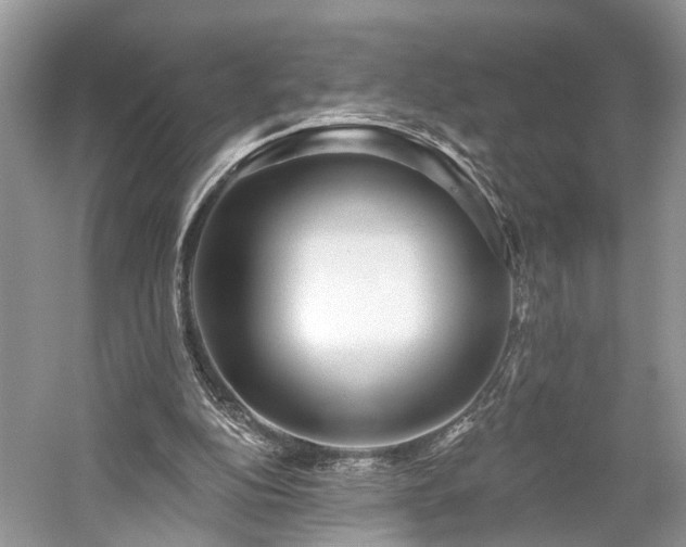 X0000059840152200510241446