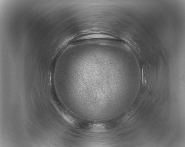 X0000059840157200510241447