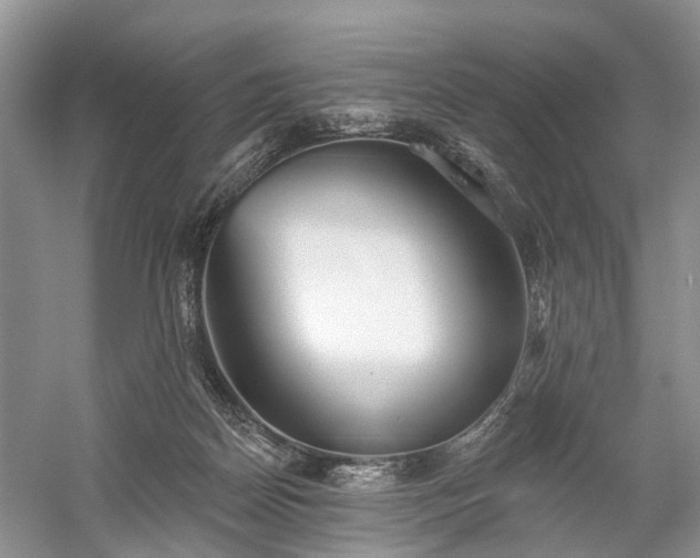 X0000059840170200510241447