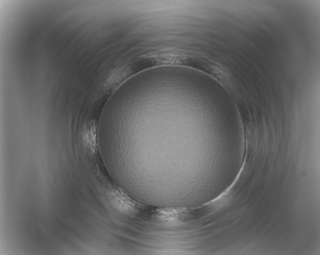 X0000059840190200510241447