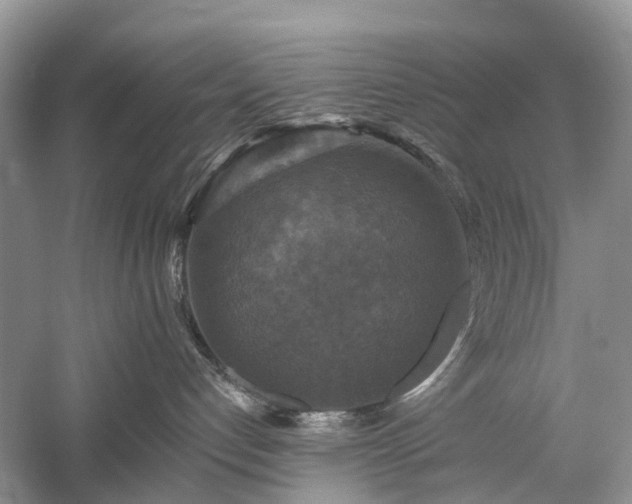 X0000059840192200510241447