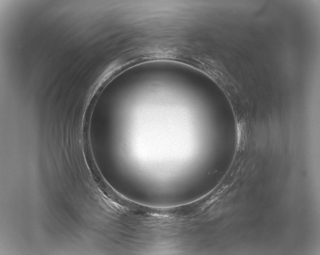X0000059840195200510241446