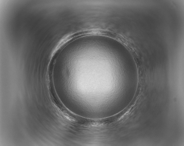X0000059840198200510241446