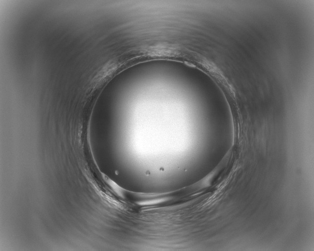 X0000059840201200510241446