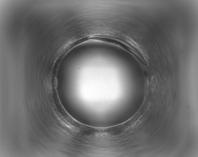 X0000059840203200510241446