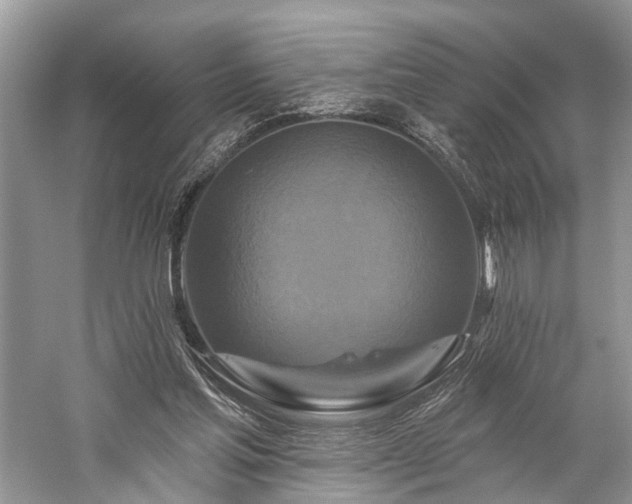 X0000059840205200510241446