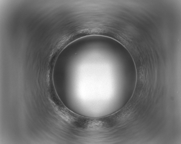 X0000059840206200510241446