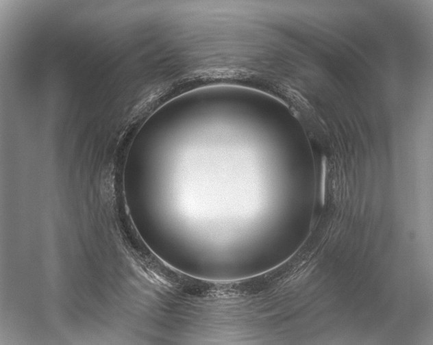 X0000059840207200510241446