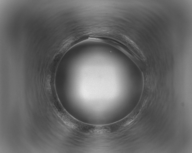 X0000059840209200510241446